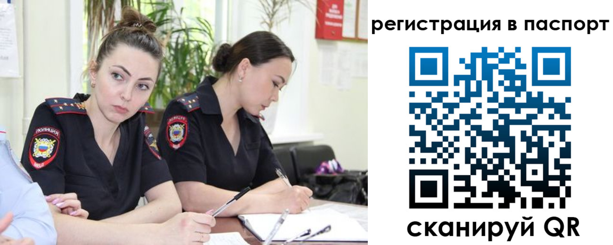 где прописаться в Дубовке